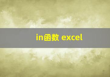 in函数 excel